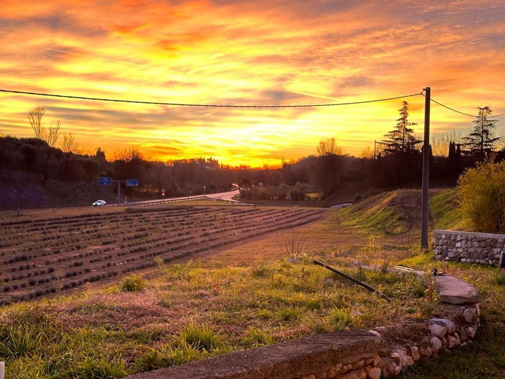 Agriturismo Al Mancino Лонато Екстер'єр фото