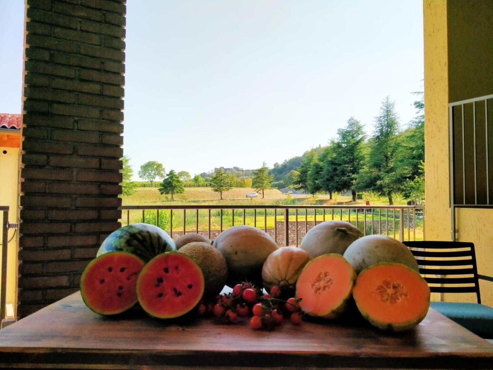 Agriturismo Al Mancino Лонато Екстер'єр фото